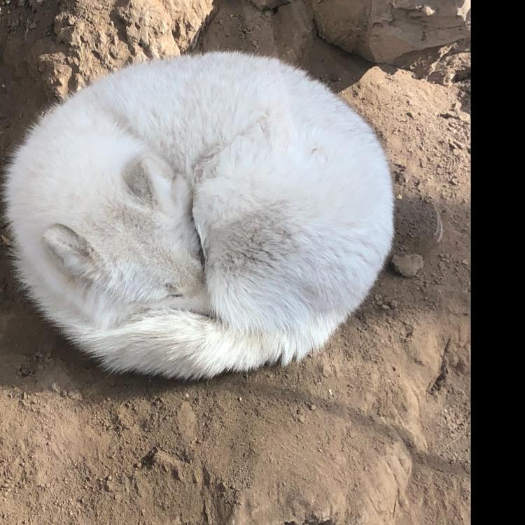 連營同學