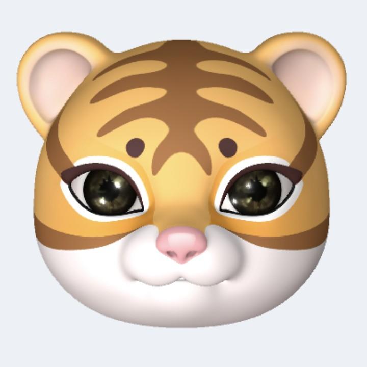 杨杨小品