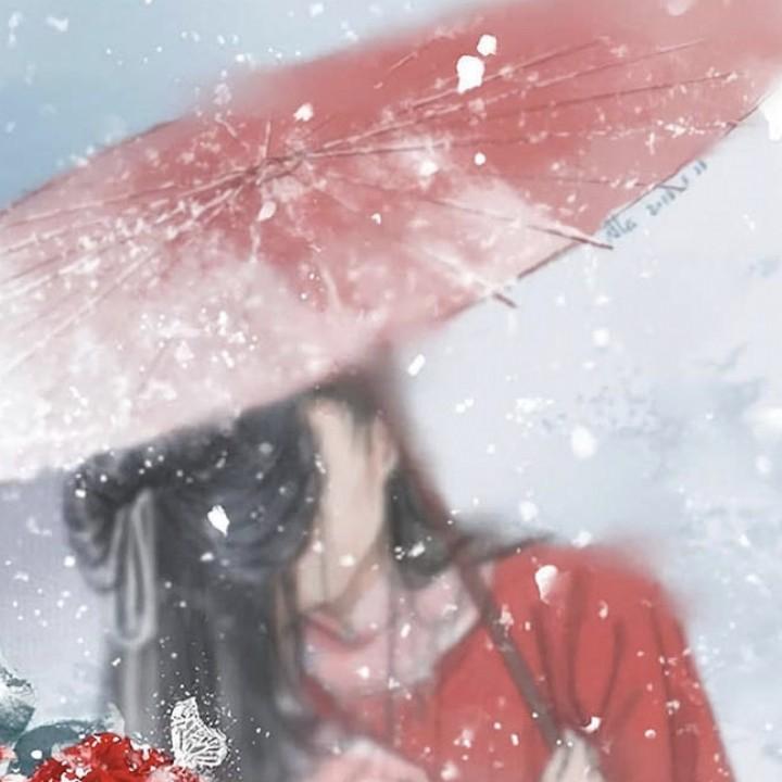 九宝暴瘦只喝茶🍵