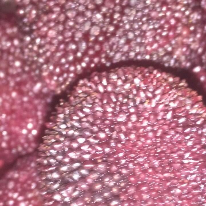 吴索卫