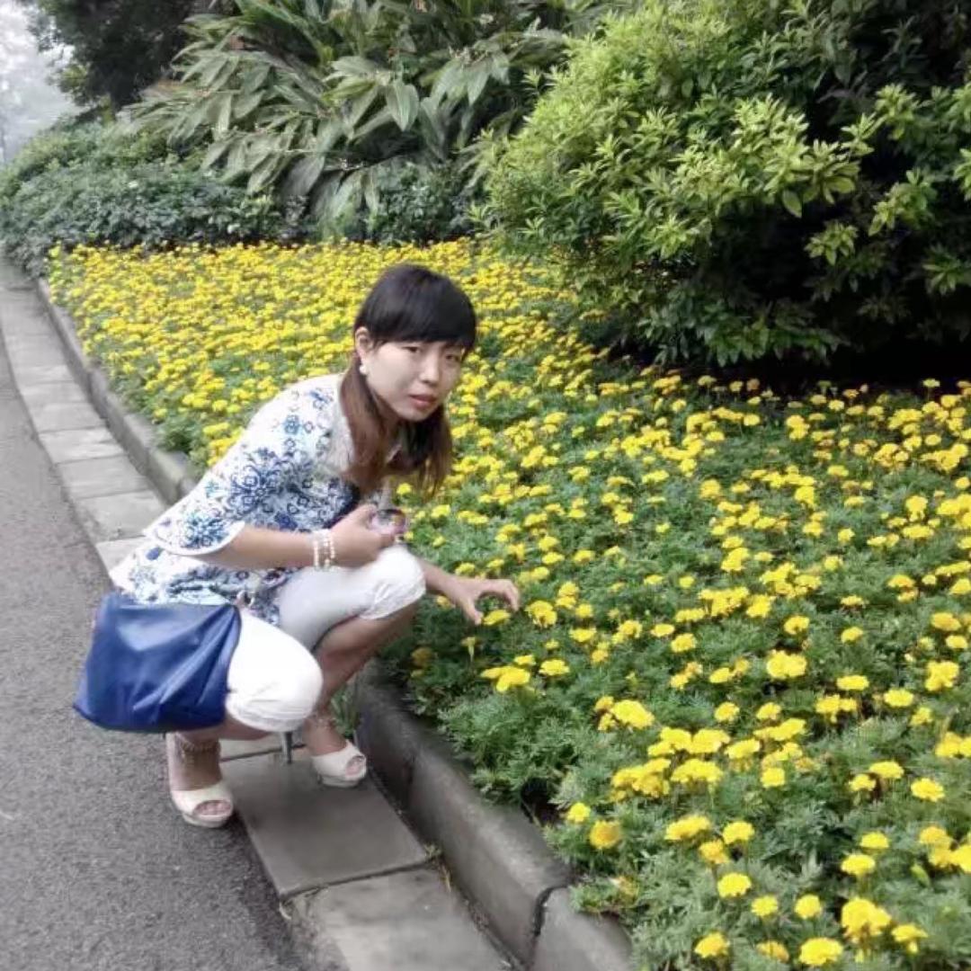 古月小蜗牛