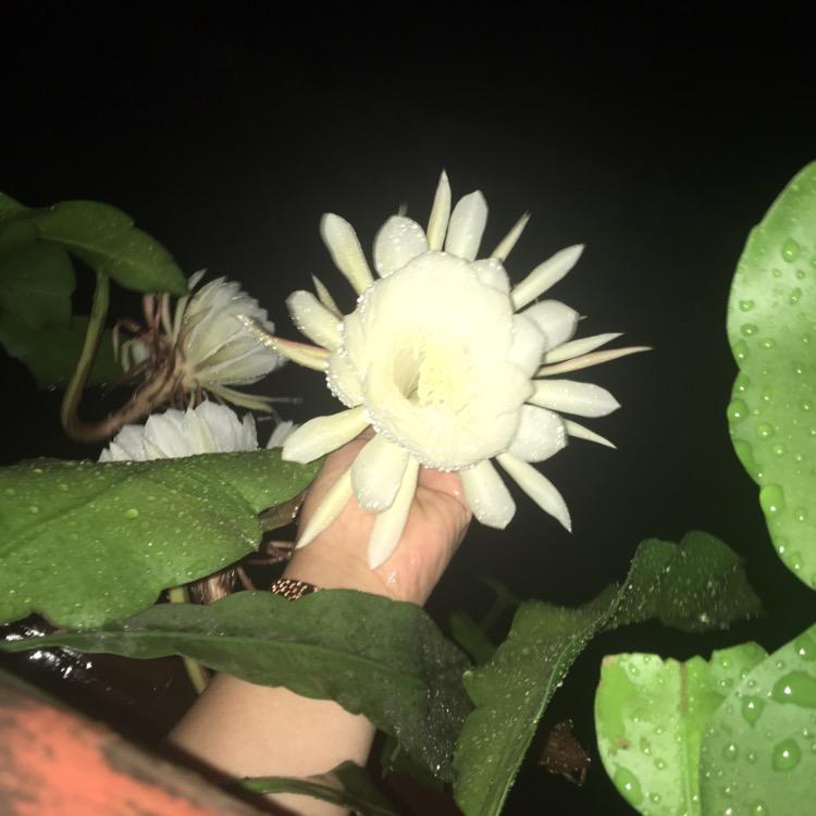 雨天