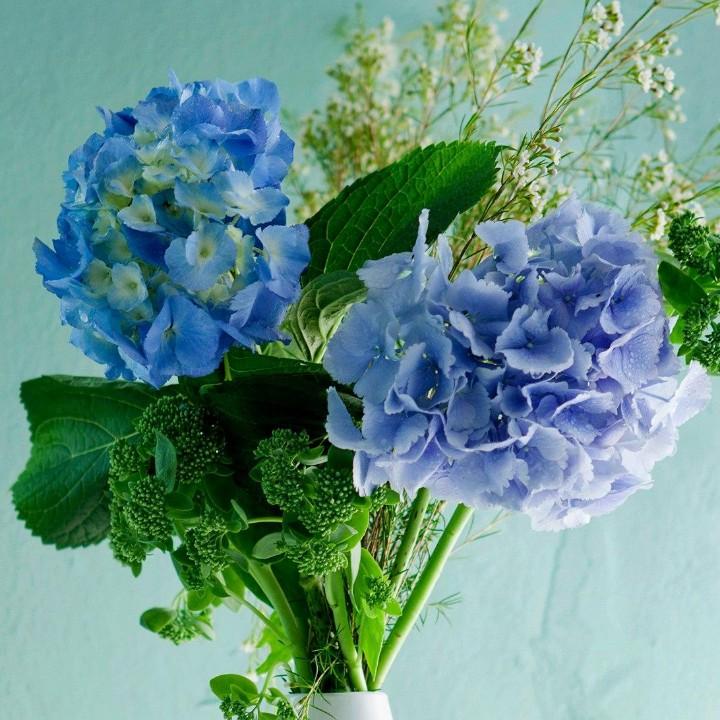 一切安好，便是晴天军哥