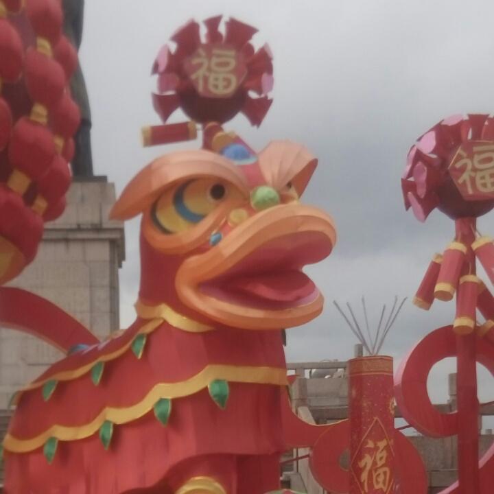 努力学习的大姐