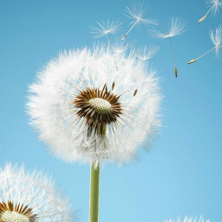 叫双哥给你加鸡腿啵