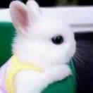 幸福是奋斗出来的