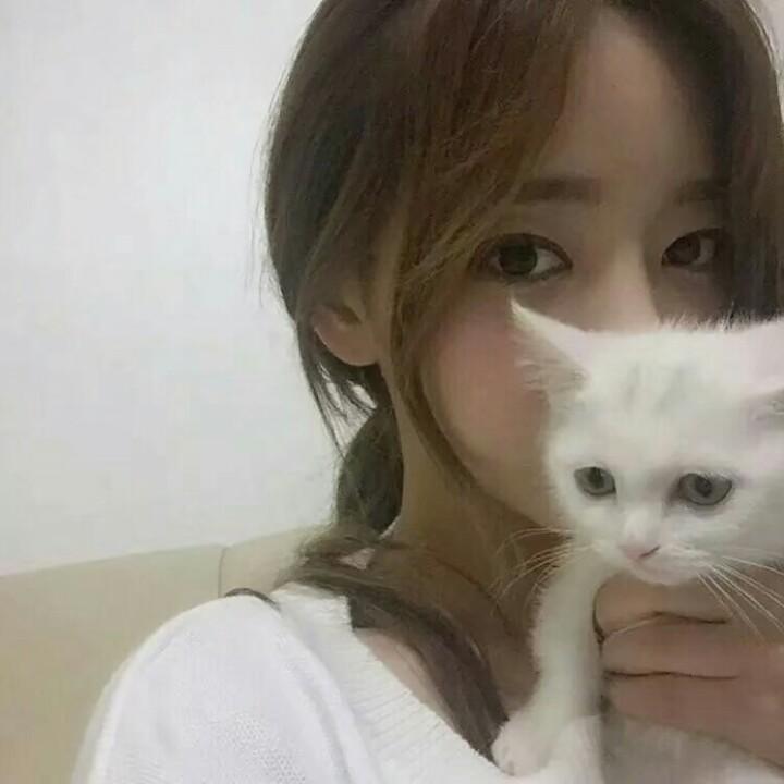 岁安