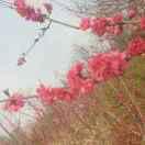 光芒