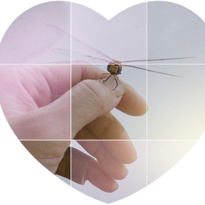 永阳小嬴川餐馆老板娘