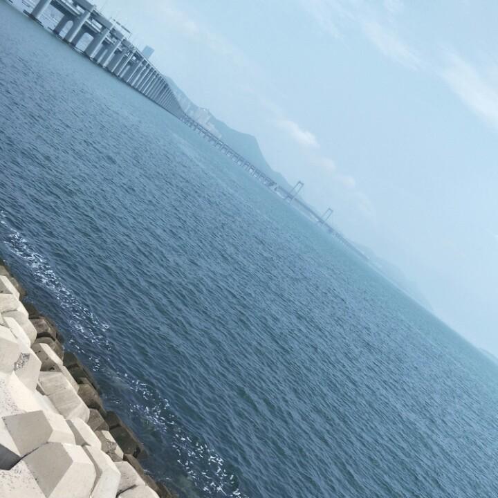 木易木卯