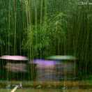 你若安好！便是晴天！