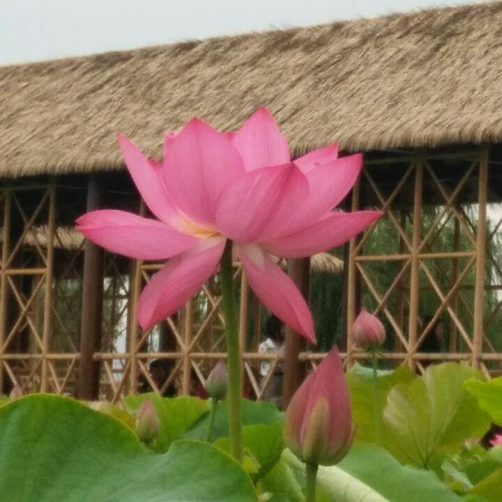 我的幸福、与你无关