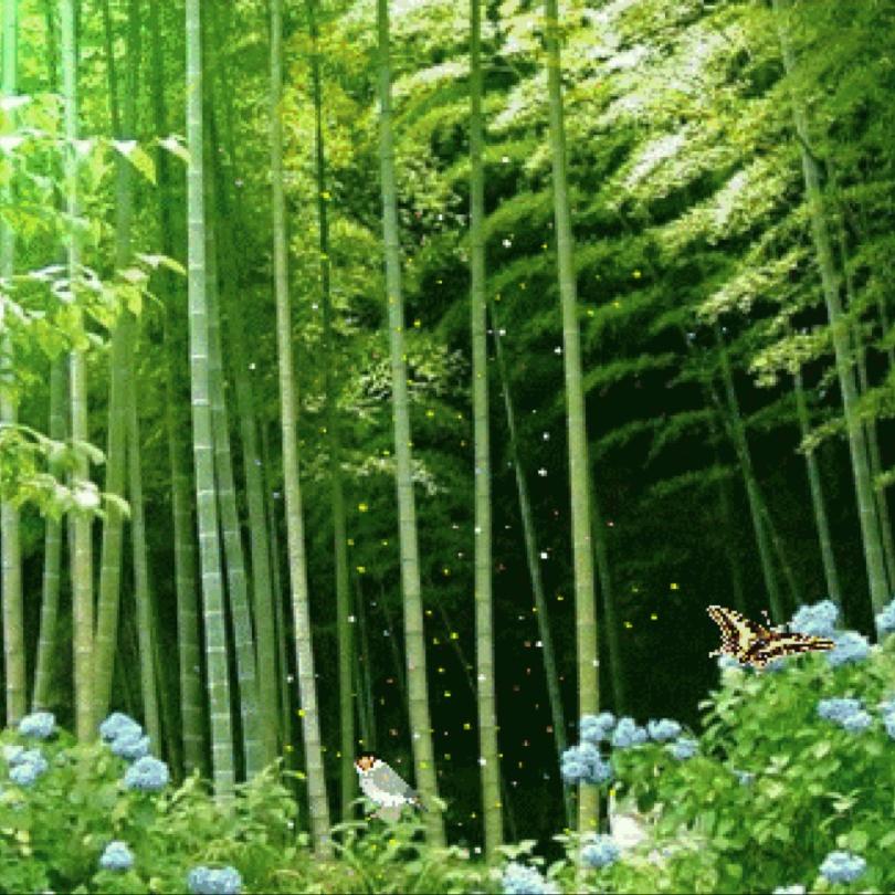 糖葫芦的秀