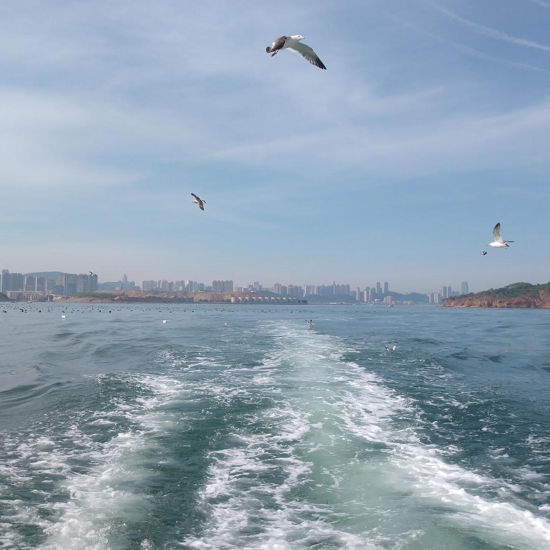 柳浪闻莺