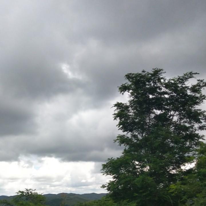 谁伴我闯荡