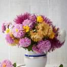 心静如水《关赞必回》