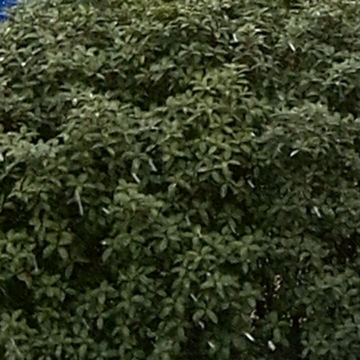 新世界
