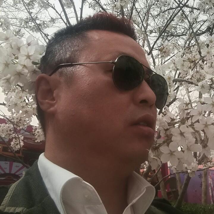 醉青弦