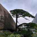 雨晴收购点，琪涵五金装饰店