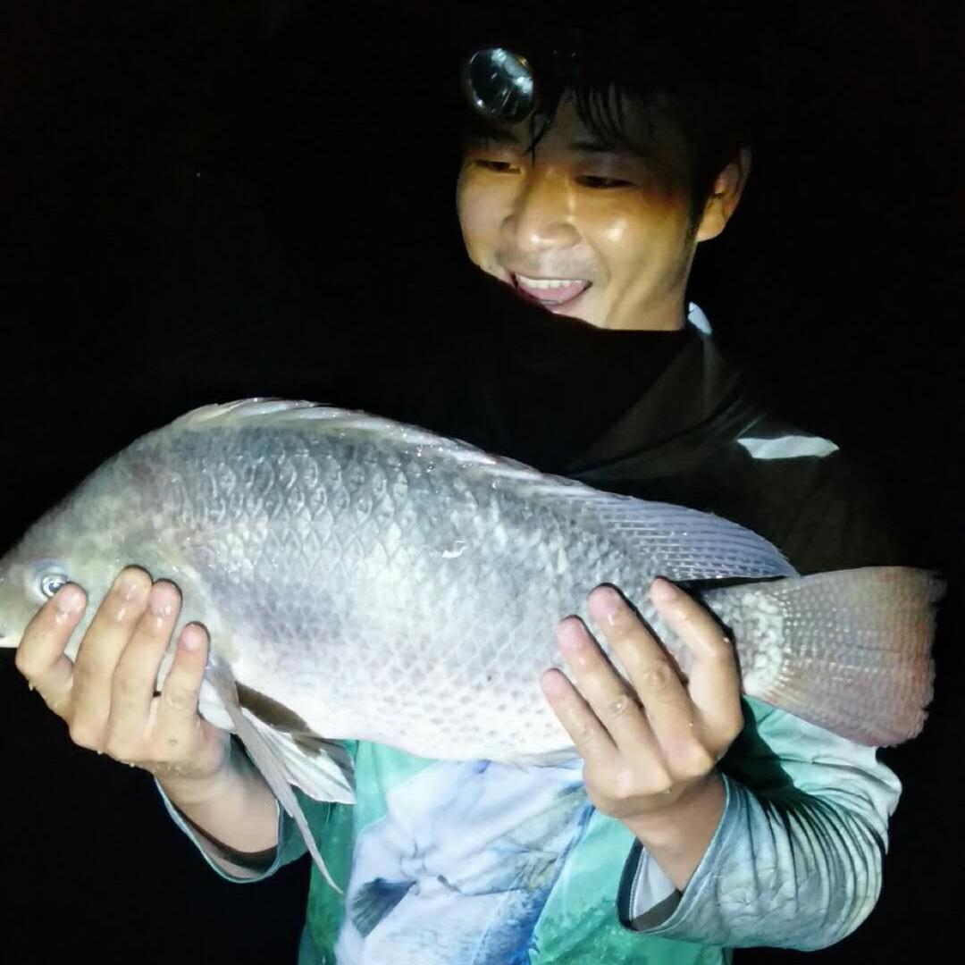 大钩大线大力马