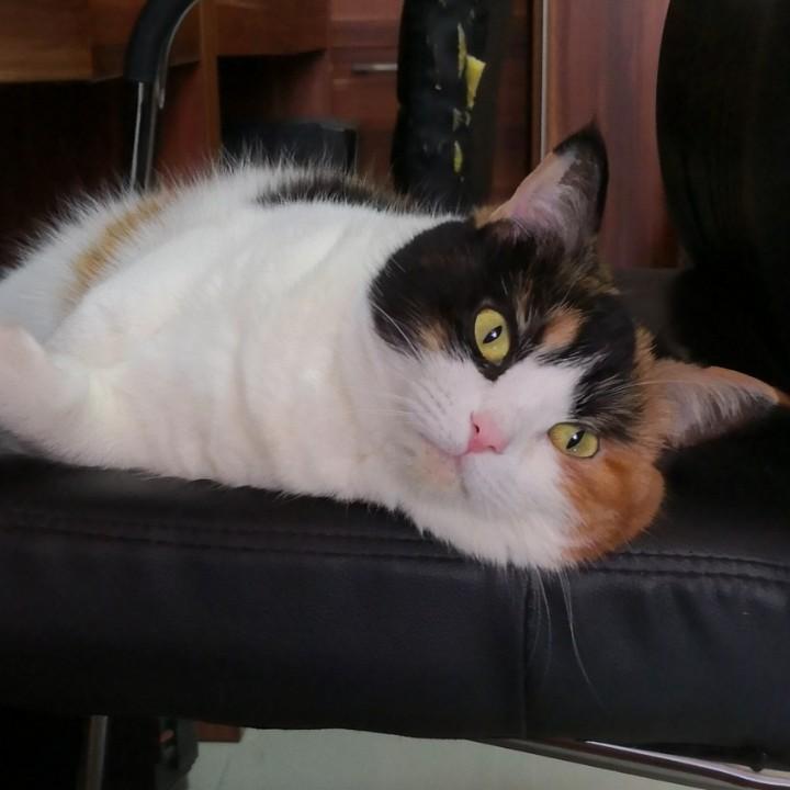 臭臭妈(づ ●─● )づ