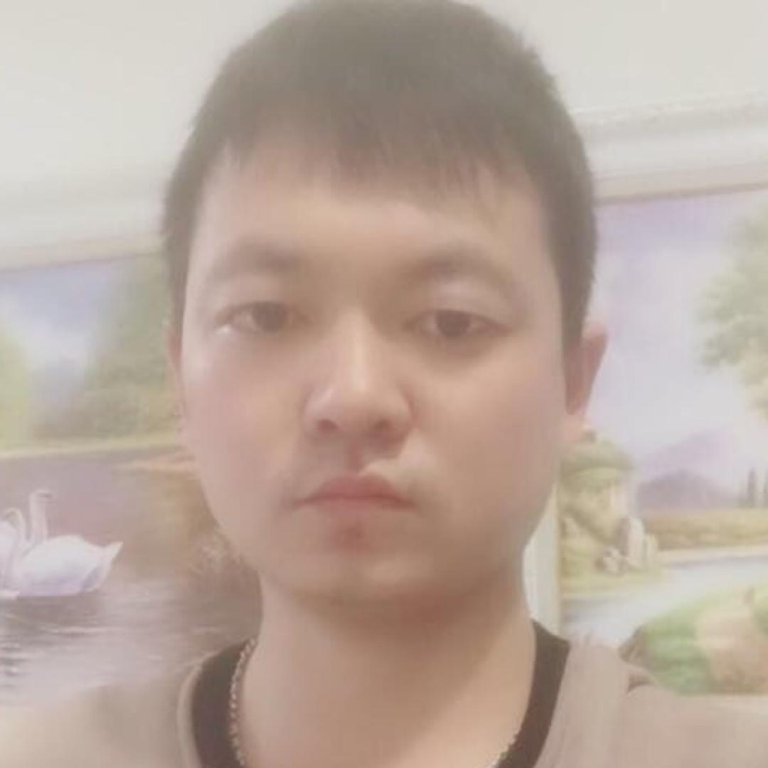 九只鸟