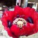 幸福一家人常有福