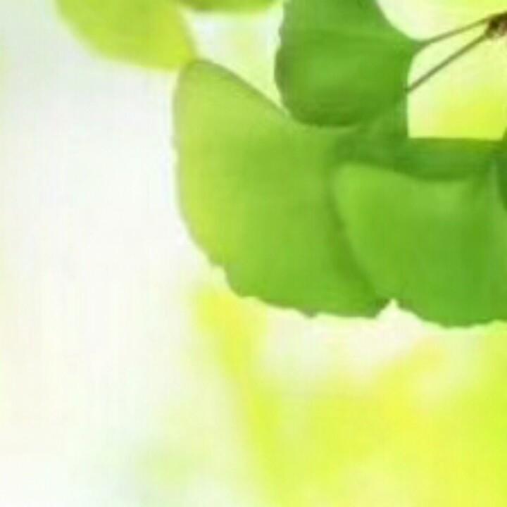 秋水伊人