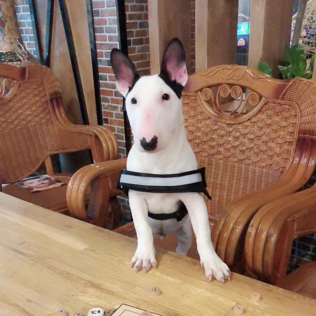什么梗❓