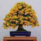 A济南永胜管道疏通抽化粪改上下水管道