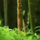龙海翼飞无人机俱乐部