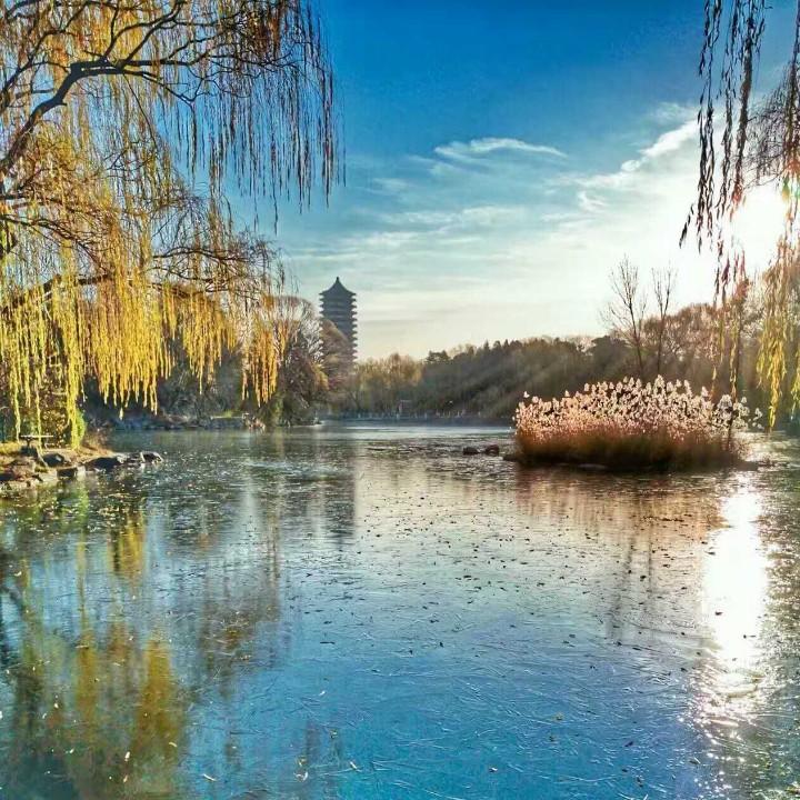 北京大白