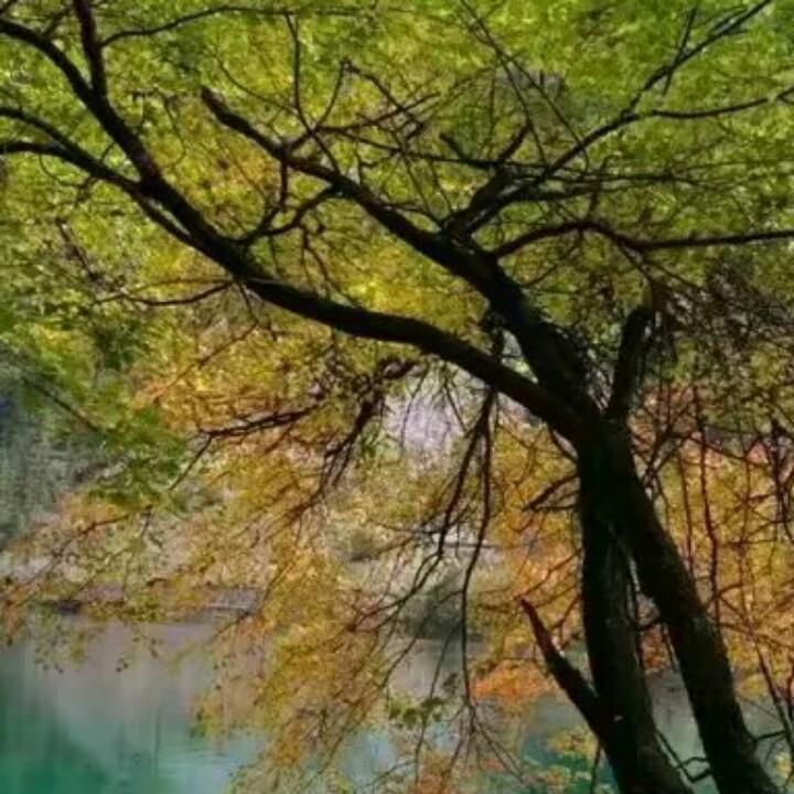 追求卓越