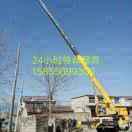 替班司机 金钩吊鱼  158550993