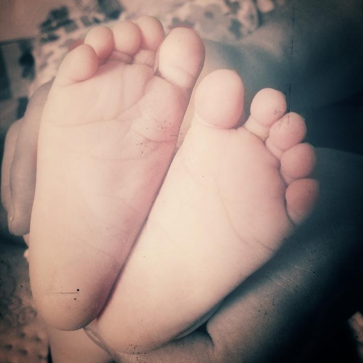 🐾彩虹的长耳朵🍭