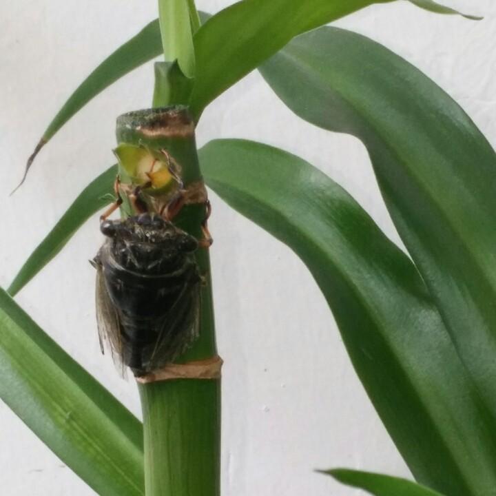 壹輩子侑伱╮硪已知哫