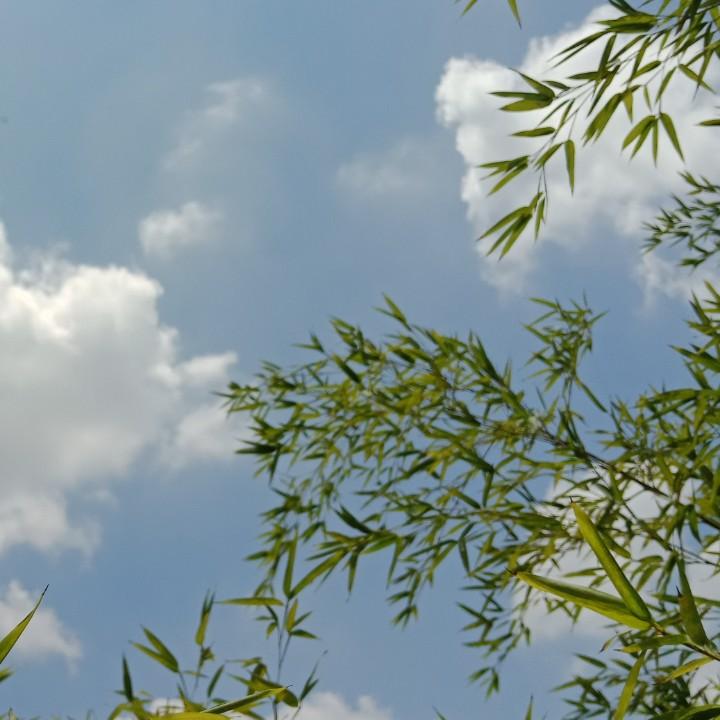 午后甜点@