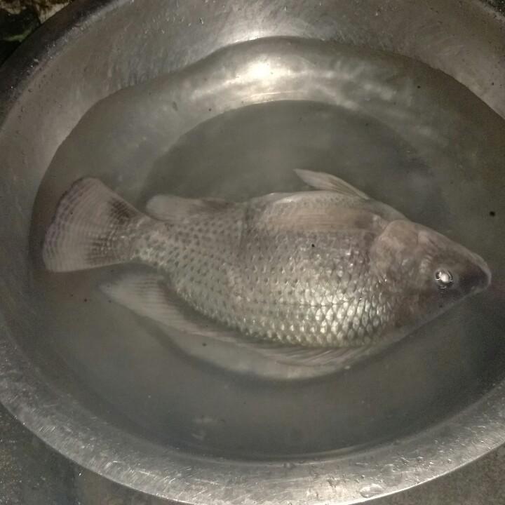 亮爷