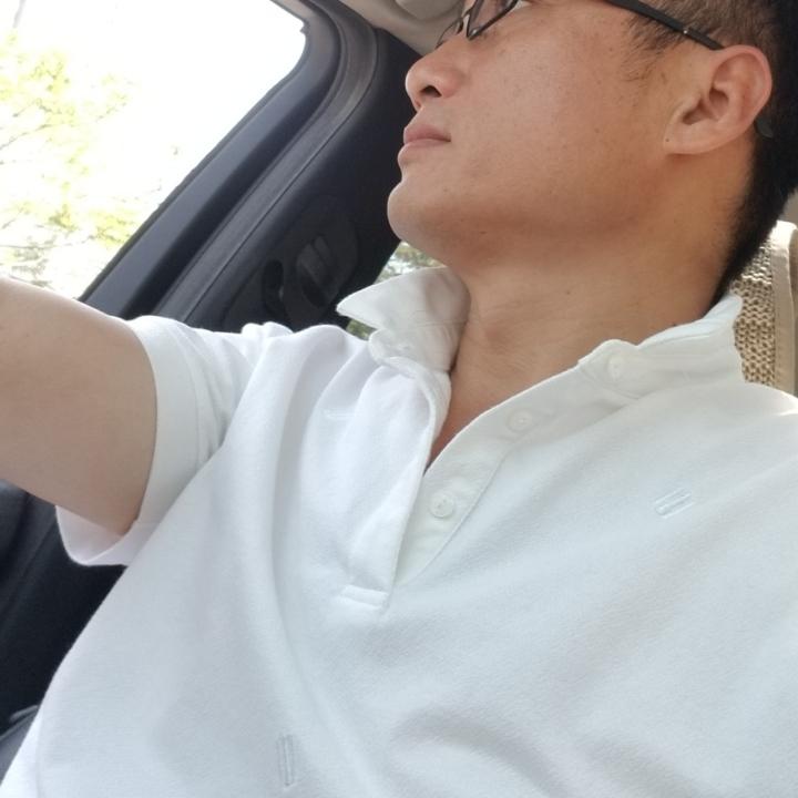 临窗梧桐