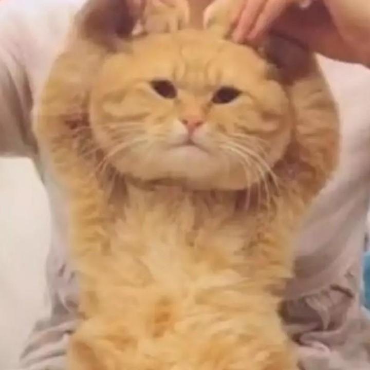 🌈🌈🌈摧城。