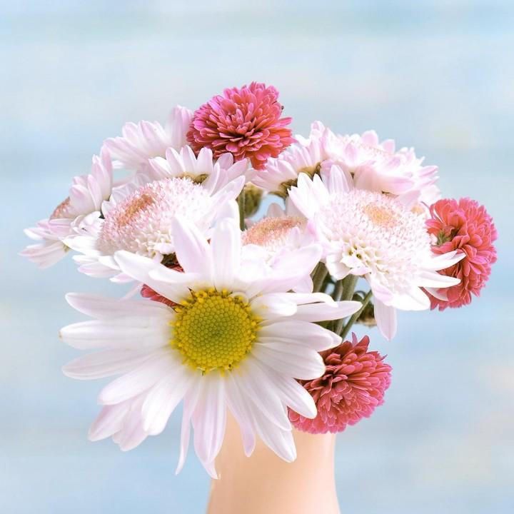 欢迎光柠茶饮店