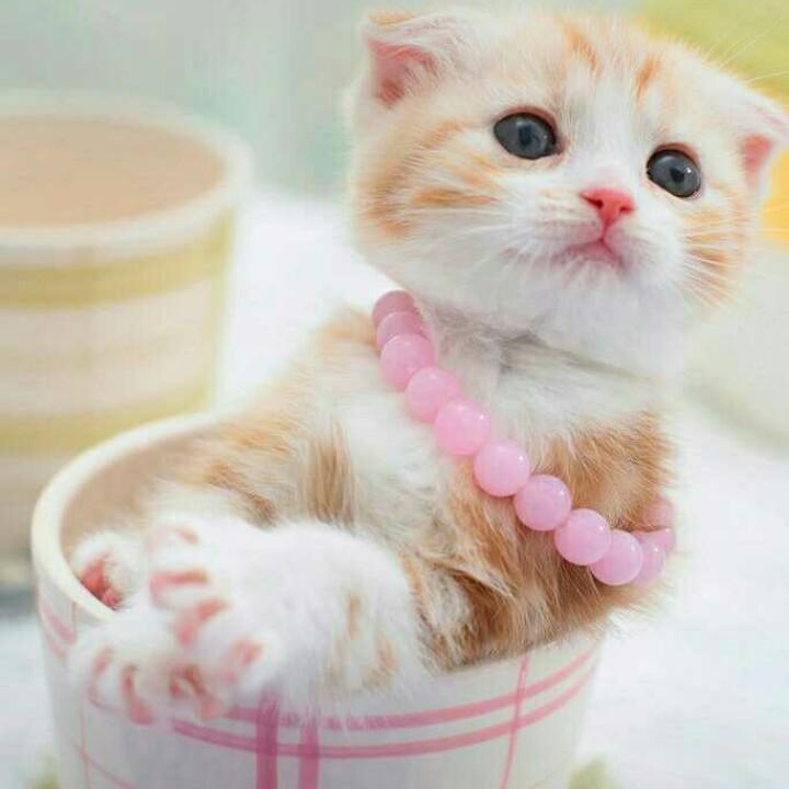 有缘千里遇见你