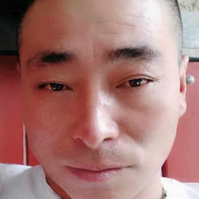 高春平（互）