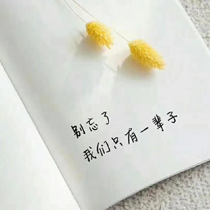 傻丫头