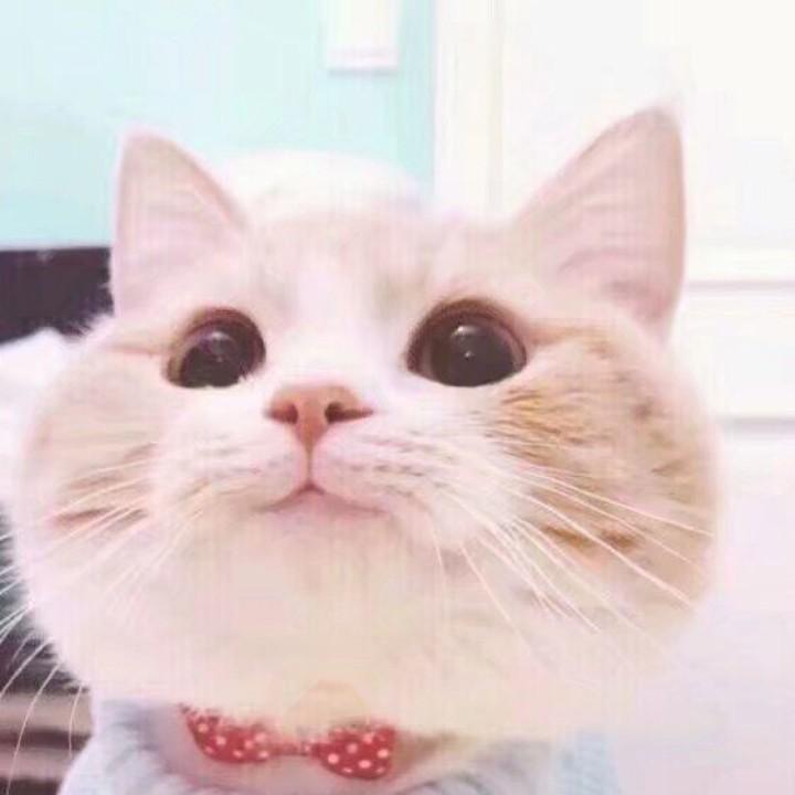 友人