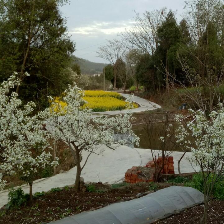 孤独患者，久病成医