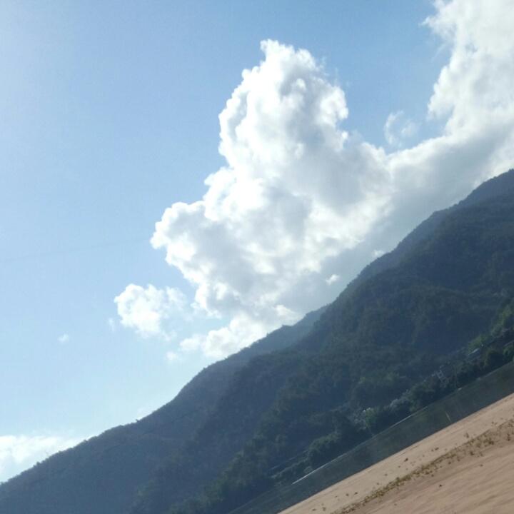 YY…