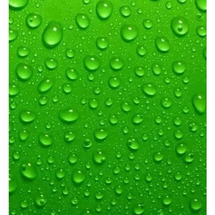 富贵竹用户7159089793062