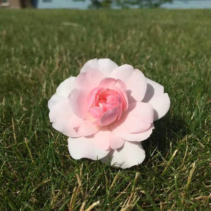 🌈    空空   🍄