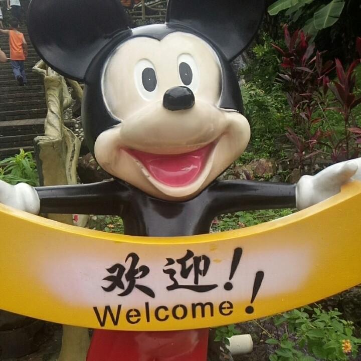 @我要去旅行(●°u°●) 」